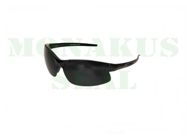 EDGE Tactical Sharp Edge Glasses Black Lens SSE61-G15-TT
