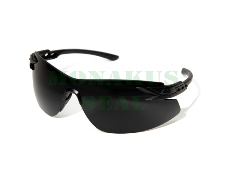 Gafas EDGE Tactical  Notch Lente negra XN61-G15